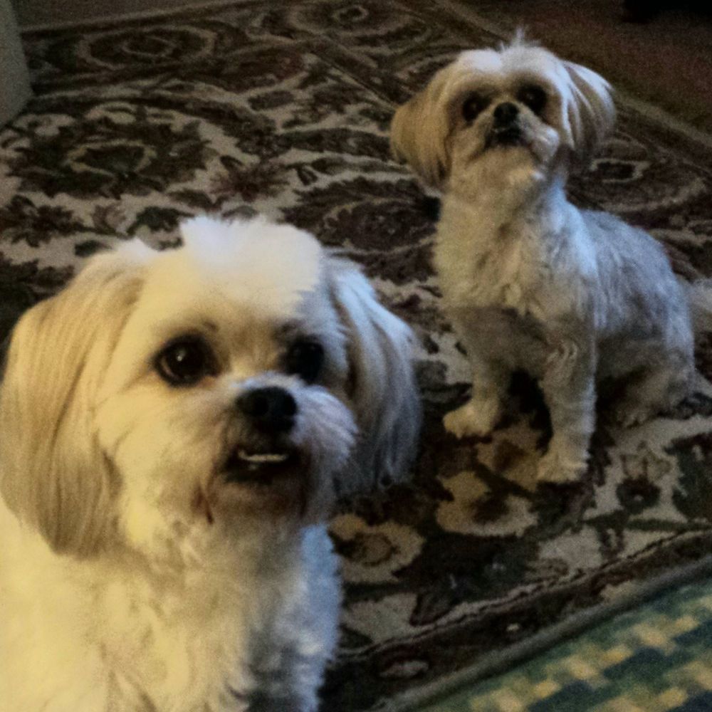 Meet your Posher, Debra